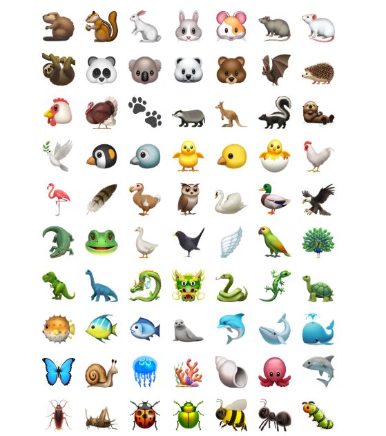 Noah Project Web3 Trading Platform